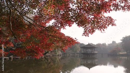 奈良公園　浮見堂の紅葉