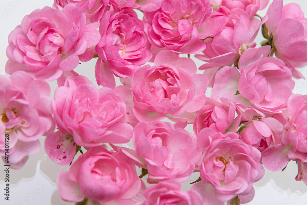 Pink roses bouquet light petal flower blooming with green stem pattern