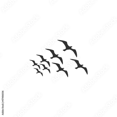 simple flat logo vector illustration flying bird flock icon with silhouette