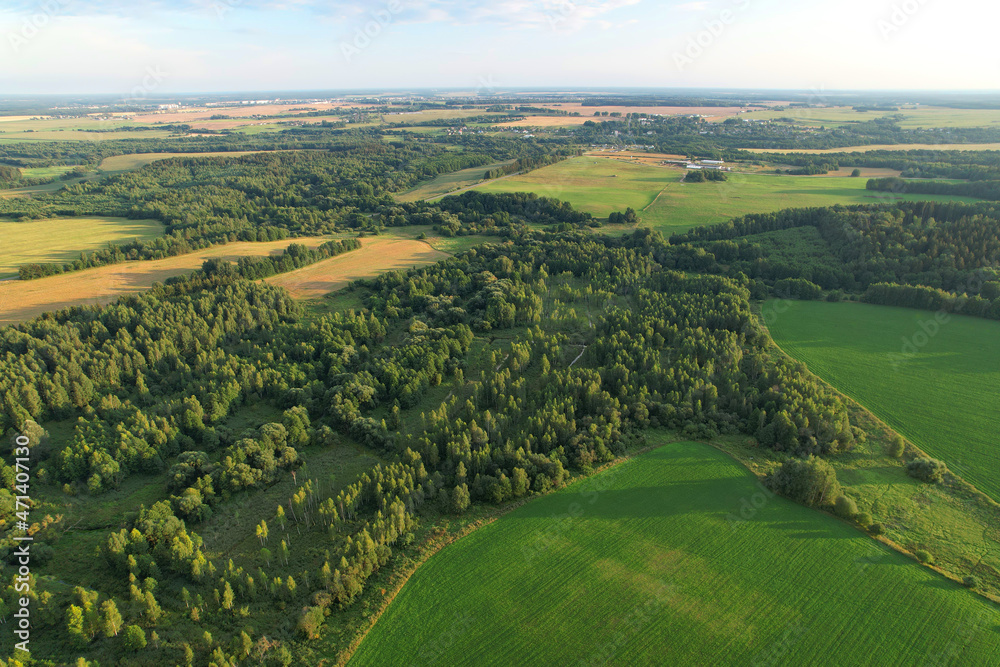 Aerial view of the field near the forest in the countryside
