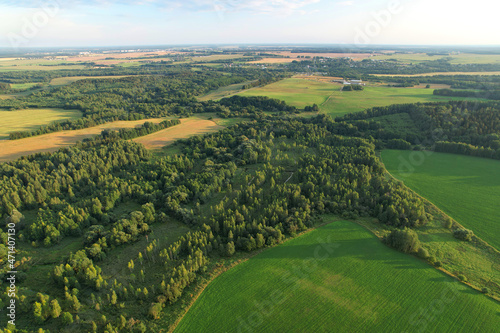 Aerial view of the field near the forest in the countryside