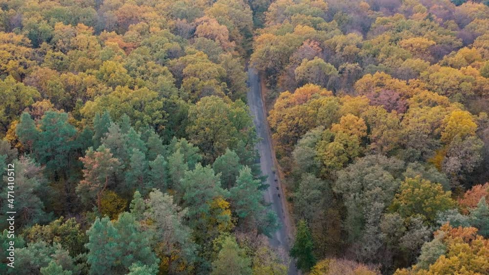 Autumn deciduous forest top view, natural background or texture. Autumn deciduous forest top view, natural background or texture.