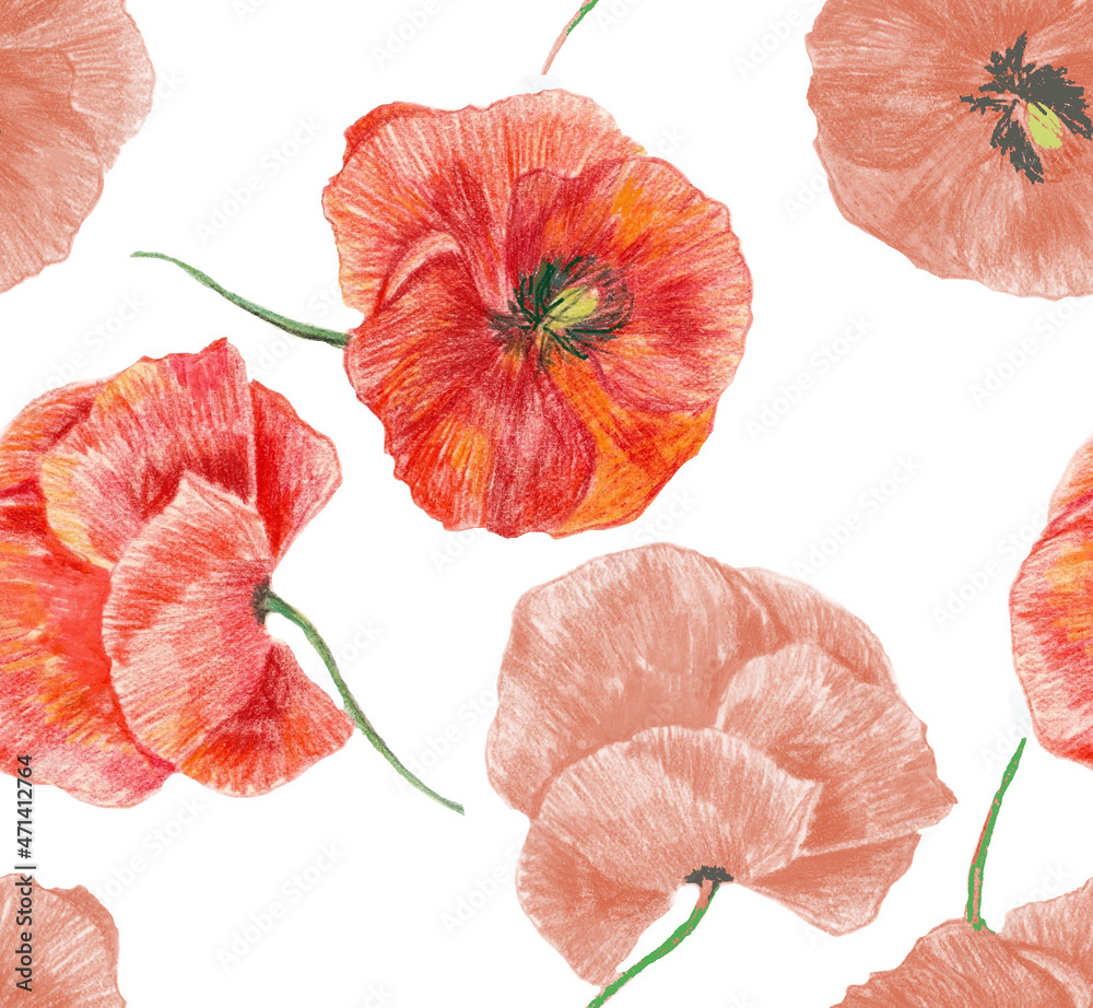 Red poppies pencil drawing isolated on white background seamless pattern for all prints.