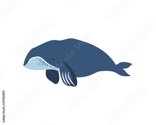 bowhead whale icon photo