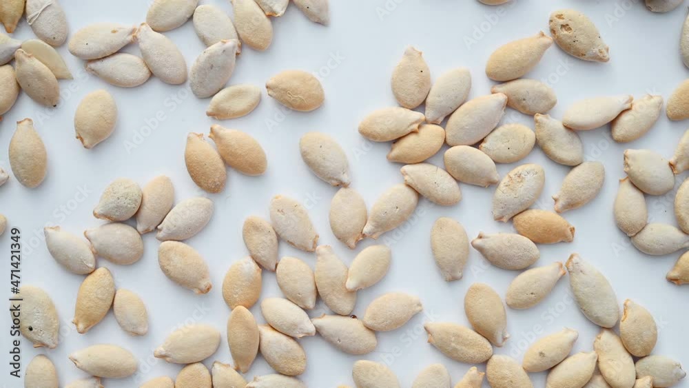 top view herb DongGuaZi or Semen Benincasae or Waxgourd Seed rotating top view herb DongGuaZi or Semen Benincasae or Waxgourd Seed rotating