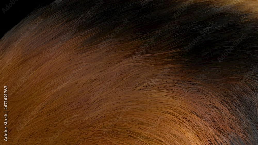 Year of the Tiger according to Chinese zodiac, new year 2022 animation, tiger skin. With luma matte Year of the Tiger according to Chinese zodiac, new year 2022 animation, tiger skin. With luma matte