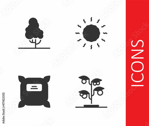 Set Sprout, Fruit tree, Pack full of seeds and Sun icon. Vector