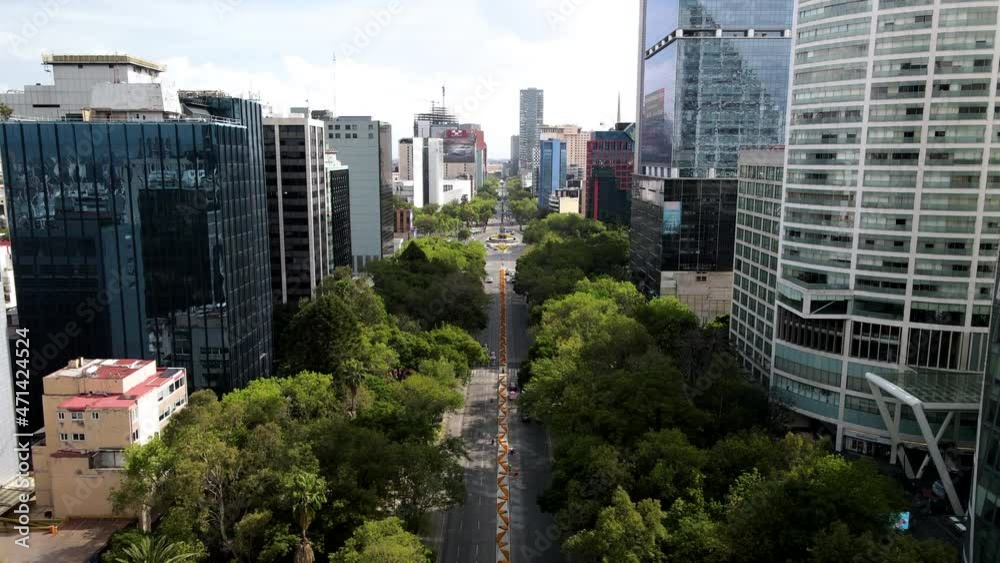 Drone shot above reforma avenue in mexico city with traditional flower sown in the camellon Drone shot above reforma avenue in mexico city with traditional flower sown in the camellon