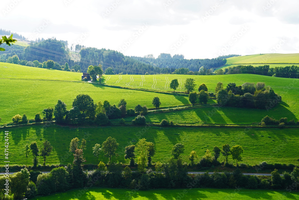 Obraz premium Green meadow with scattered trees and their shadows 