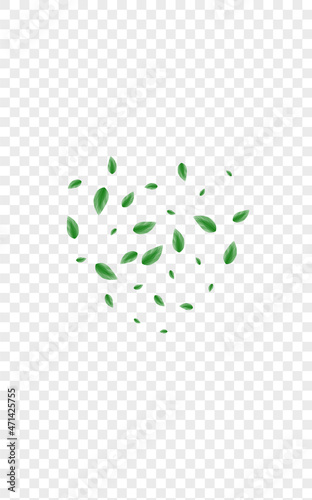 Greenish Sheet Background Transparent Vector. Vegetation Wind Design. Decoration Card. Green Copy Illustration. Leaves Twig.