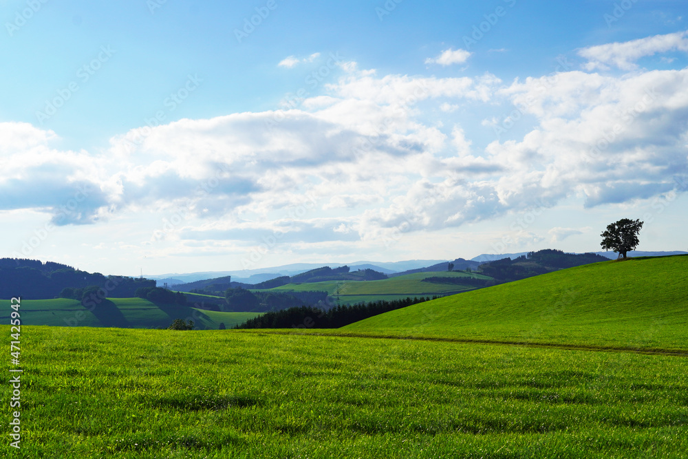 Landscape in the Sauerland near Oberhenneborn. Panoramic view of the green nature with hills and forests.
