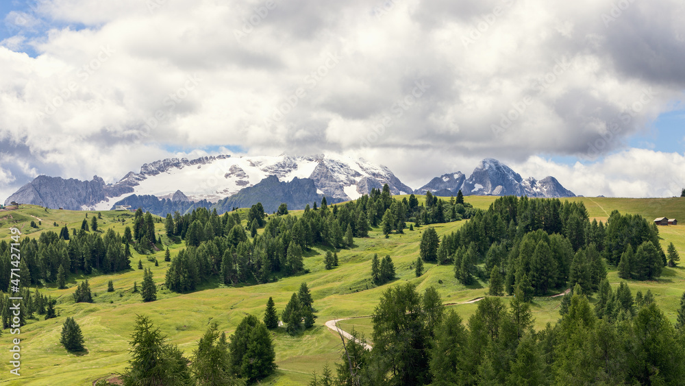 Alpine plateau with pine forests in the rays of the sun and the Dolomites covered with snow
