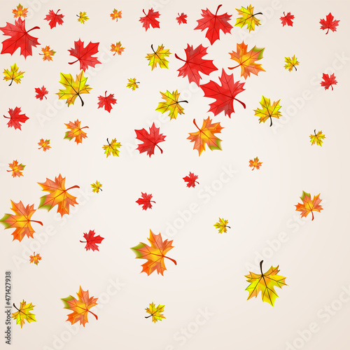 Autumnal Foliage Background Beige Vector. Leaf Beautiful Frame. Orange Shape Plant. Season Leaves Design.