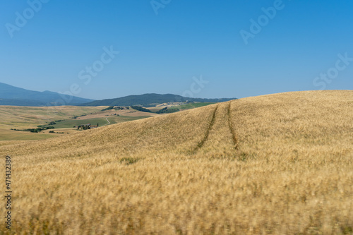 tuscany__field