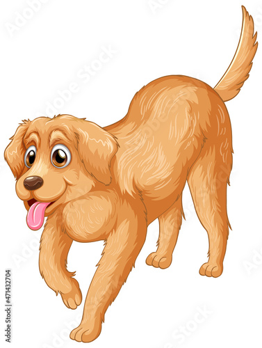 Golden retriever dog cartoon on white background