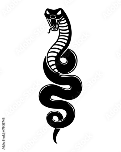 Illustration of angry snake icon isolated on white background.