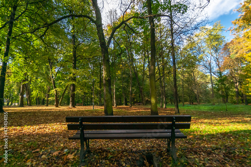 Ławka w parku pałacowym Schoena w Sosnowcu Środuli. Jesienny widok na stare pomnikowe drzewa zabytkowego parku. 