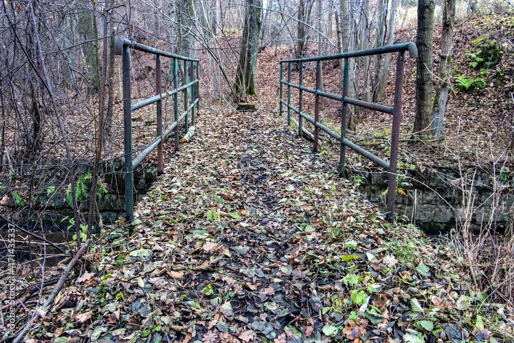 Footbridge covered with fallen leaves in the autumn forest Footbridge covered with fallen leaves in the autumn forest