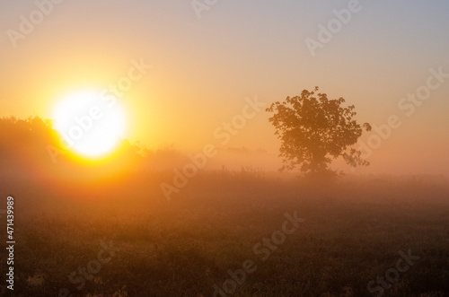 Green Field and Beautiful Sunset