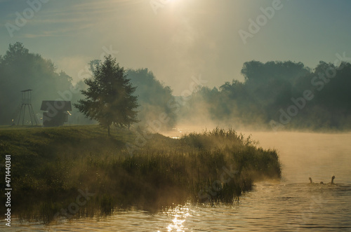 Morning on the river early morning reeds mist fog and water surface on the river. photo