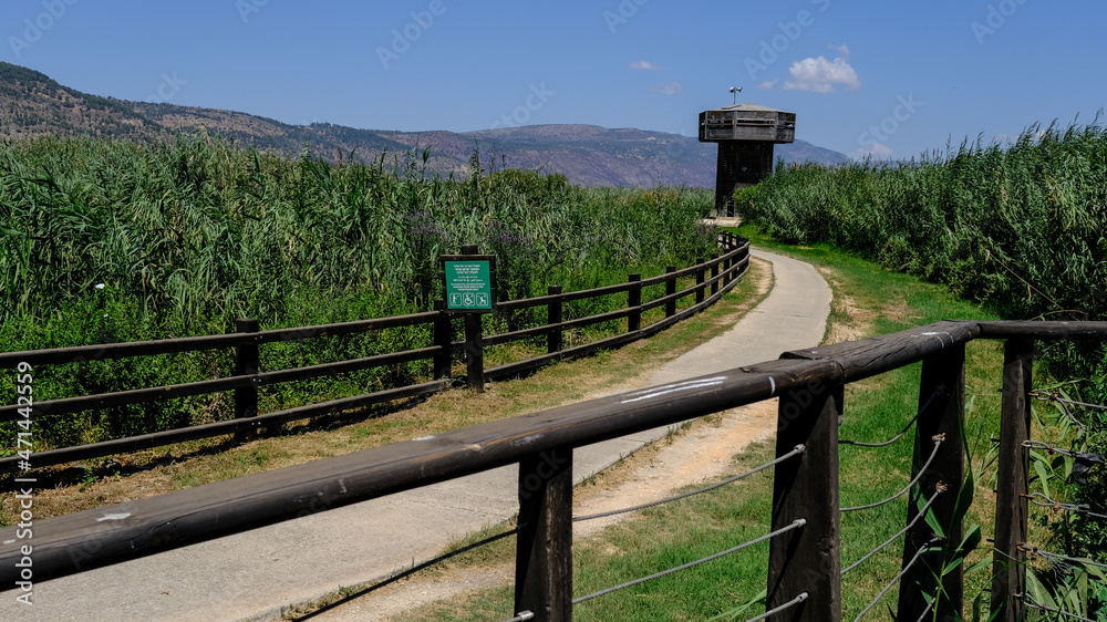 The Observation Tower in Hula Nature Reserve, Hula Valley, Upper Galilee, Northern Israel, Israel.