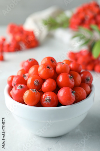 Fresh ripe rowan berries in bowl on light table, closeup. Space for text