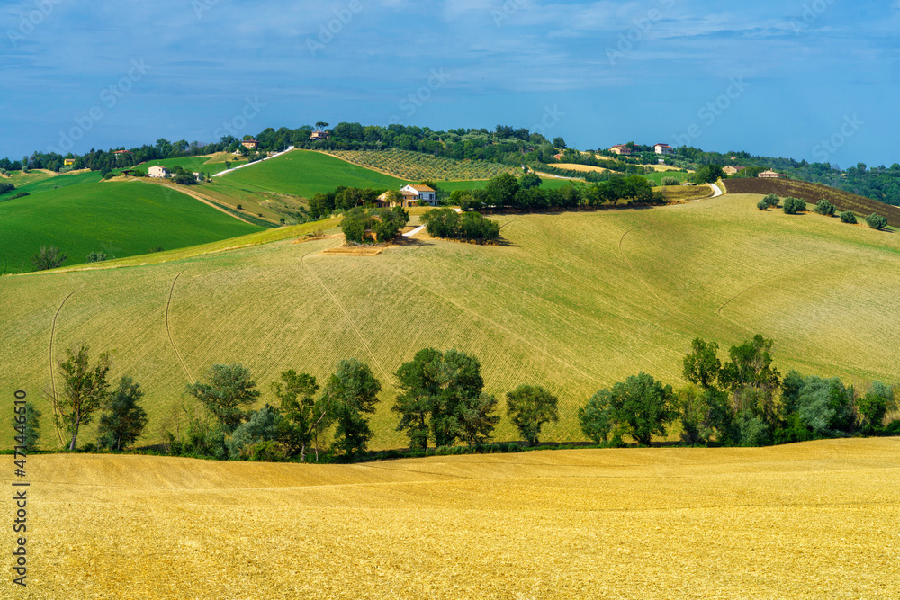 Rural landscape near Ostra Vetere and Cingoli, Marche, Italy