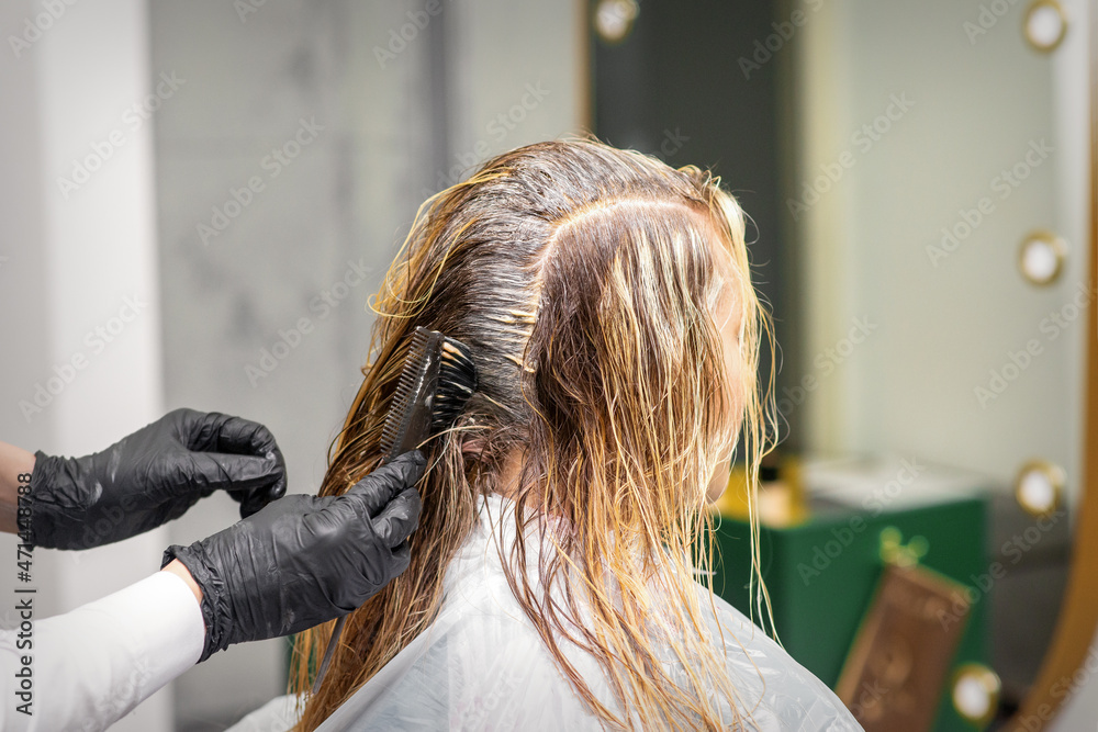 Fototapeta premium A hairdresser in black gloves is applying brush color to the hair of a customer. Hair coloring in a beauty salon close-up