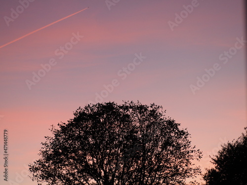 suave atardecer de color rosa y  sobre los campos de mellid, la coruña, españa, europa photo