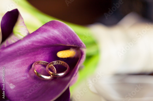 Close up two golden wedding rings lay on purple lily flowers petal background