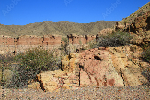Embossed canyon walls with a ridge in the background and with a mountainside and bushes in the foreground, Temirlik canyon, summer photo