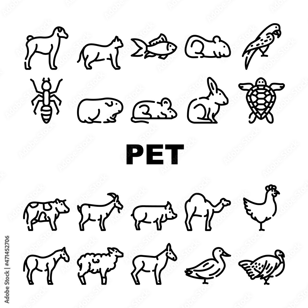 Pet Domestic, Farm And Sea Aqua Icons Set Vector. Mice And Hamster, Dog Puppy And Cat Kitty Pet, Horse And Camel, Parrot And Chicken Bird, Turtle And Aquarium Fish Contour Illustrations