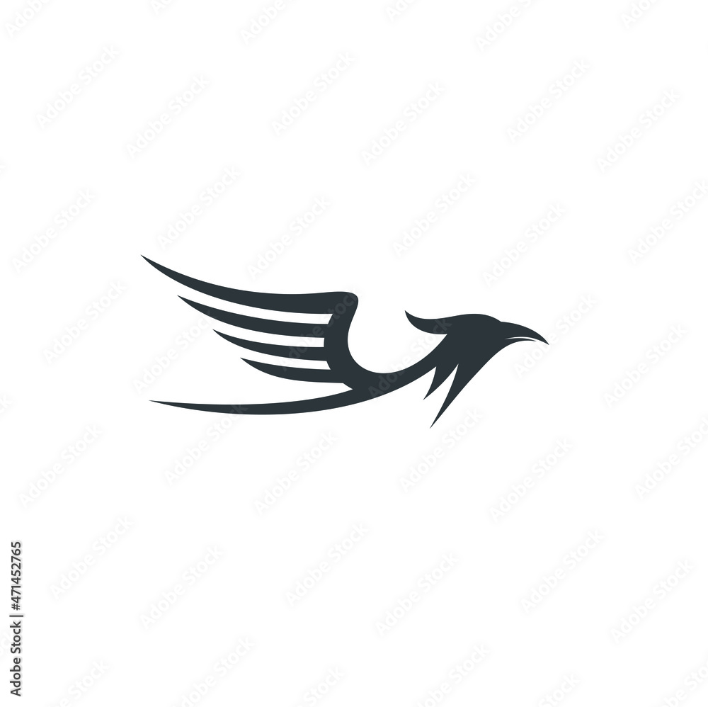 Obraz premium eagle with wings