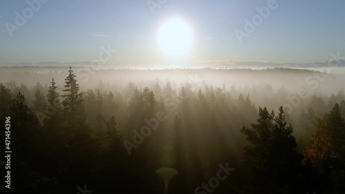 Aerial drone view over fog covered, nordic forest, misty sunrise in Scandinavia photo