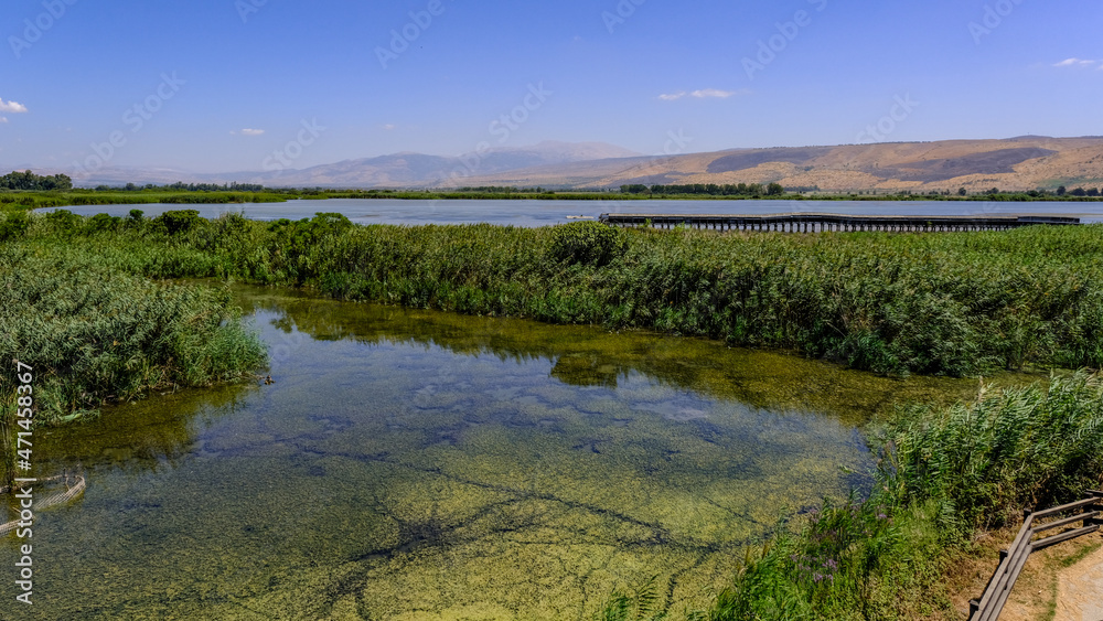 View of the water marshes and the wetland plants as seen from the observation tower in Hula Nature Reserve, Hula Valley, Upper Galilee, Northern Israel, Israel. 