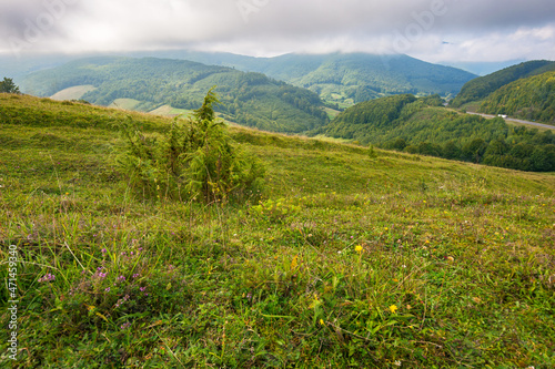 mountain road through countryside on a cloudy morning. beautiful landscape in september