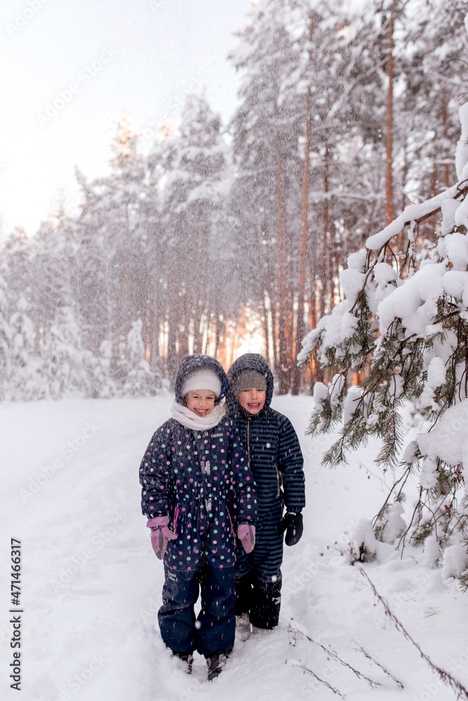 Naklejka premium winter forest, snow forest, games in the forest, snowdrifts, children's overalls , girl in the forest, order, dad, children, family winter walk