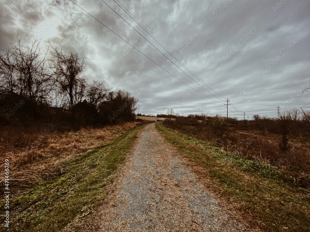 road in the field