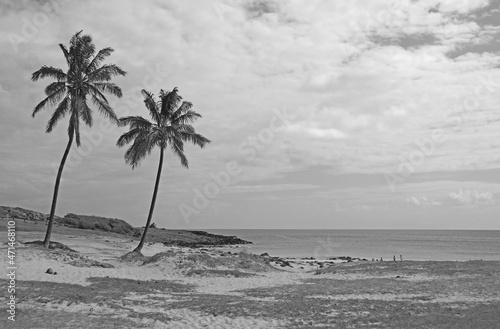 Monochrome Image of Anakena Beach with Pacific Ocean in the Backdrop, Easter Island, Chile, South America