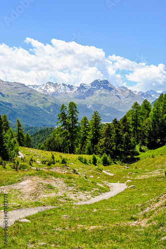 St. Moritz, Corviglia, Wanderweg, via Engiadina, Oberengadin, Alpen, Seenplatte, St. Moritzersee, Sommer, Graubünden, Schweiz