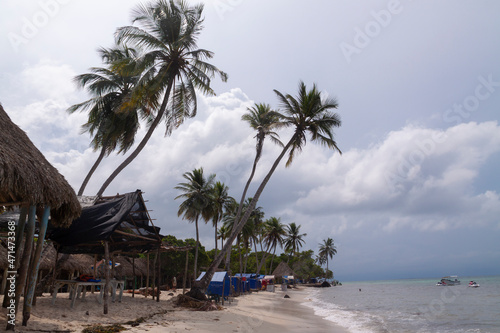 Landscape of palm trees, chairs and half-empty bungalows on one of the beaches of Isla Baru, on a stormy day, in the Colombian Caribbean