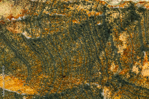Macro stone skarn mineral on white background