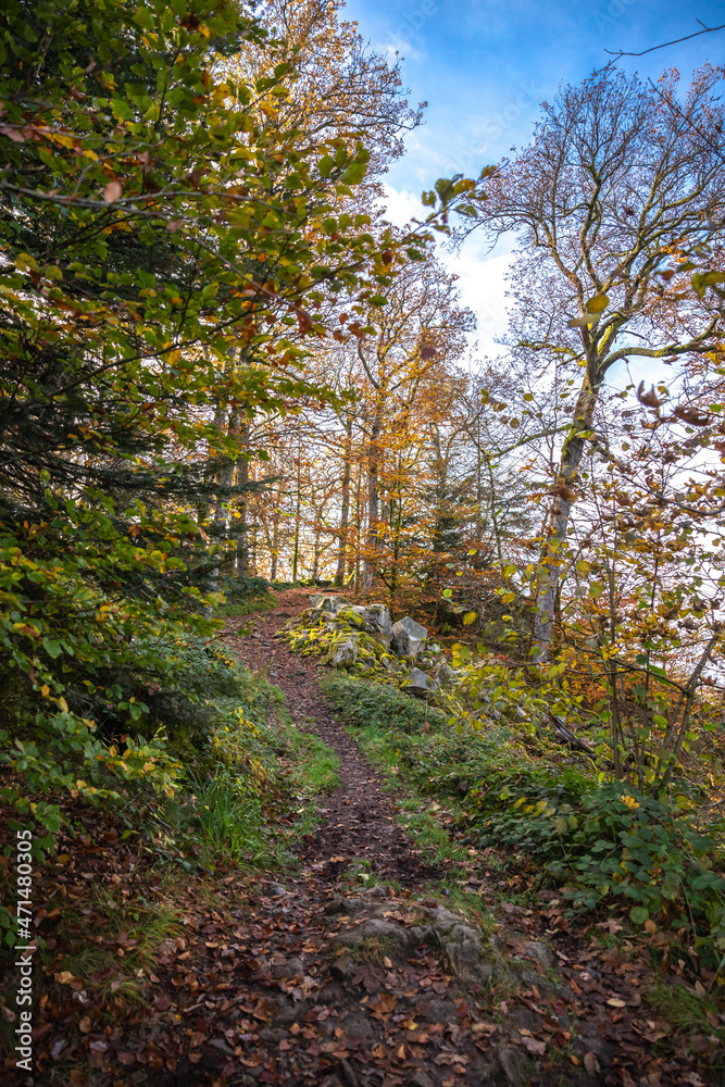 Weg zum Aussichtspunkt La Brostille Weg zum Aussichtspunkt La Brostille