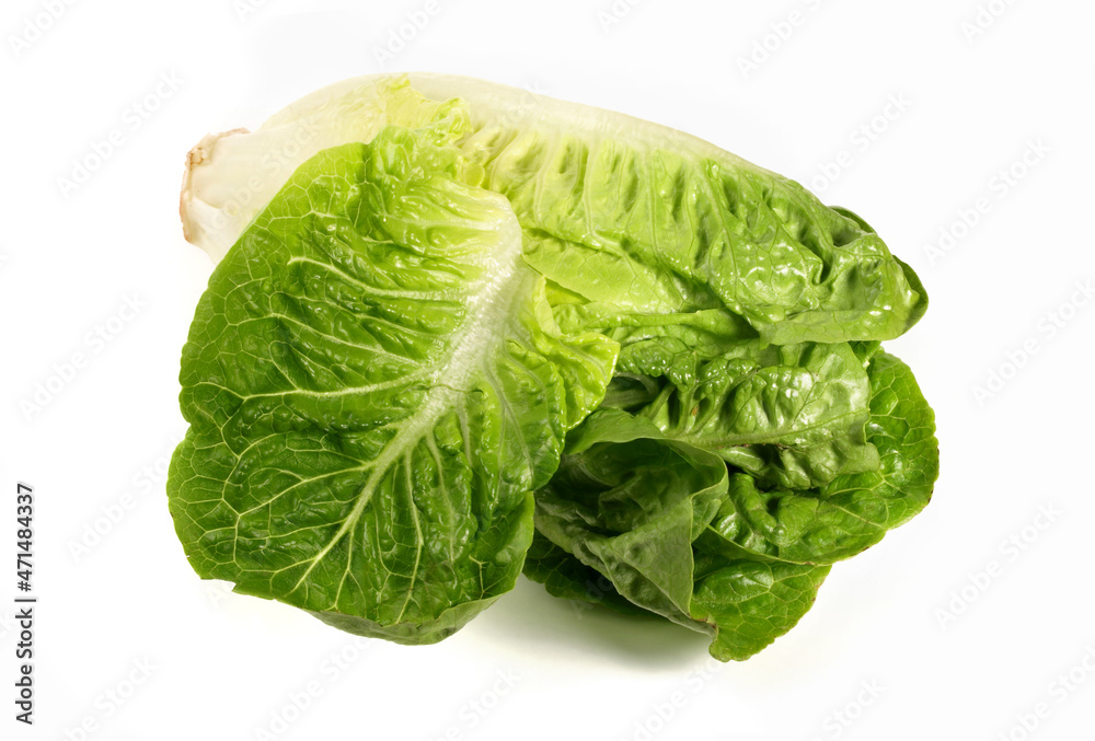 Fototapeta premium Roman Salad isolated on white Background