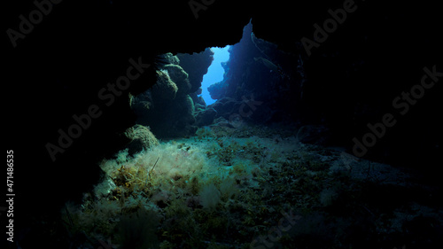 Inside a cave underwater