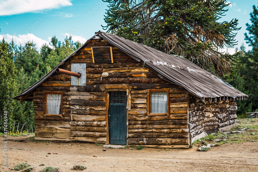 Old wooden hut of native people next to Auracauria (Pehuen), Old wooden hut of native people next to Auracauria (Pehuen),