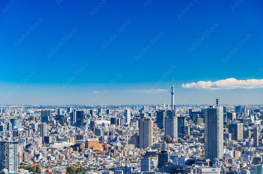 Fototapeta premium 東京 青空と都市風景