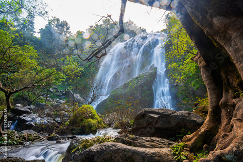 Beautiful waterfall in green forest in jungleForest waterfalls waterfalls in tropical rain forest photo