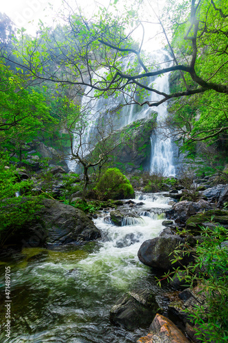 Beautiful waterfall in green forest in jungleForest waterfalls waterfalls in tropical rain forest