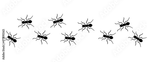 Ant vector trail marching illustration. Ant bug pest control background teamwork © kolonko